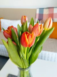 Close-up of tulips in vase on table