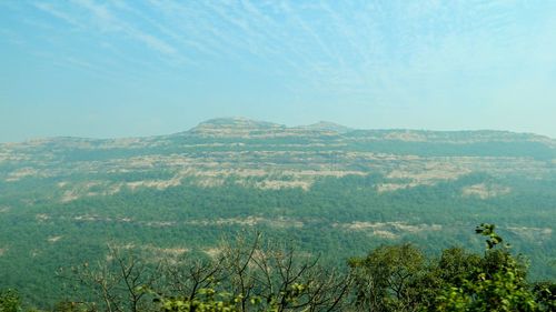 Scenic view of field against clear blue sky