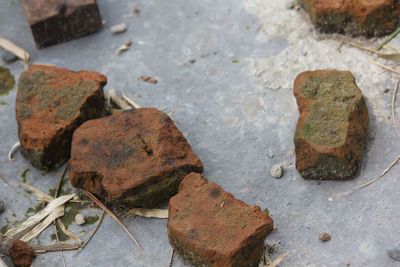 High angle view of rusty and leaves on rock