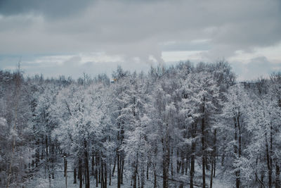 A view from above on a snowy forest on a cloudy winter day.