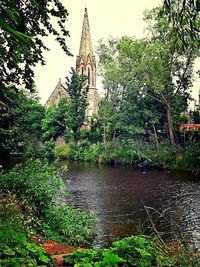 Scenic view of river with trees in background