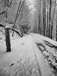 Snow covered road amidst trees in forest