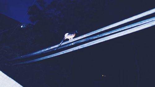 Low angle view of tree against sky