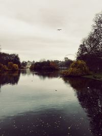 Birds flying over lake against sky