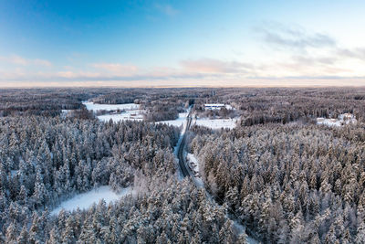 Frozen forest, fields and road during winter from drone perspective, luukki espoo, vihti, finland