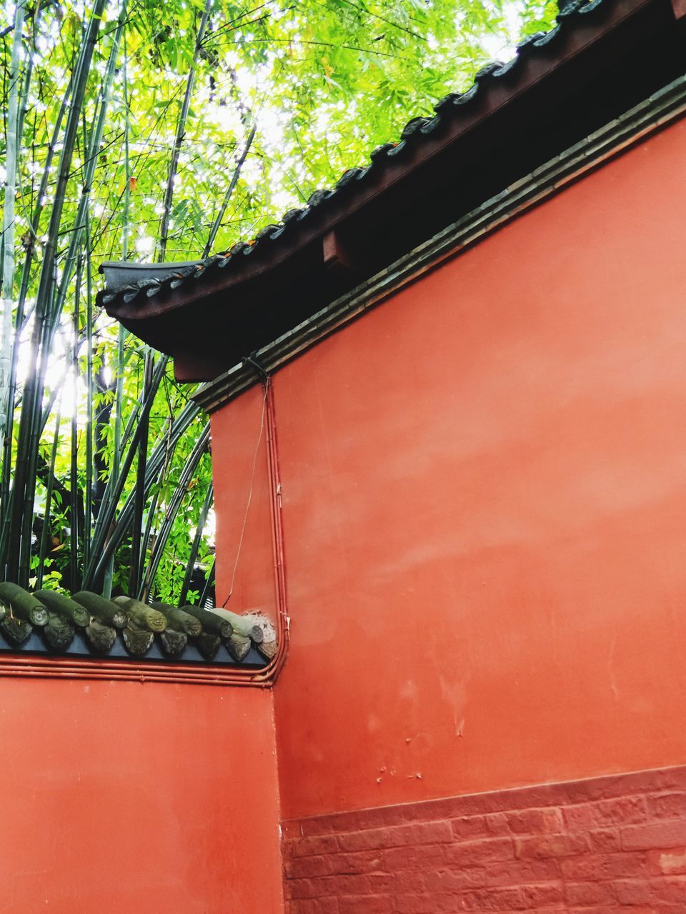 LOW ANGLE VIEW OF BUILDING BY TREES AGAINST WALL