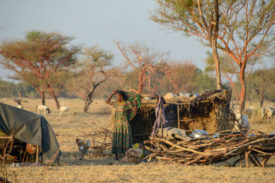 People working on field by trees against sky