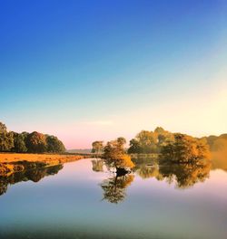 Reflection of trees in lake against clear sky