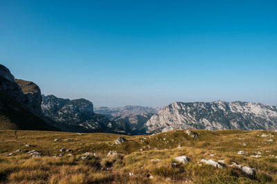 Scenic view of landscape against clear blue sky