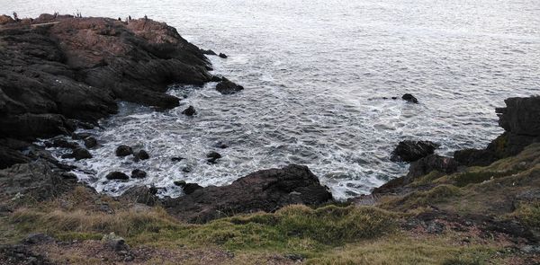 High angle view of rocks on beach