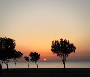Silhouette tree against calm sea at sunset