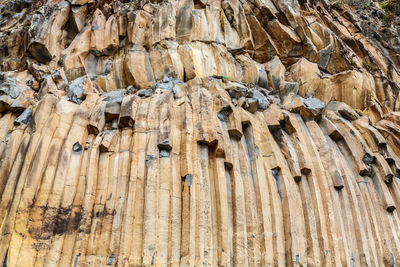 Low angle view of wood on rock