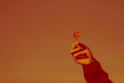 Close-up of hand holding orange rose against sky during sunset