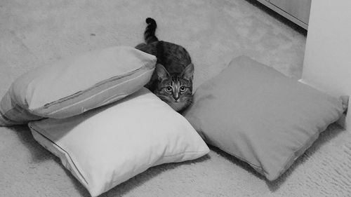 Man sleeping on sofa