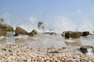 Close-up of beach against sky