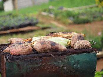 Close-up of meat in basket on field