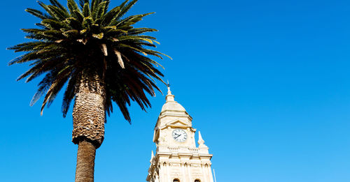 Low angle view of palm trees against blue sky