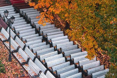 High angle view of plants during autumn