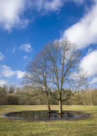 Bare trees on landscape against sky