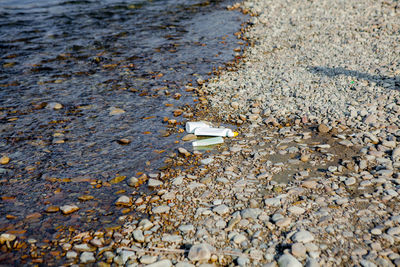 High angle view of shells on shore