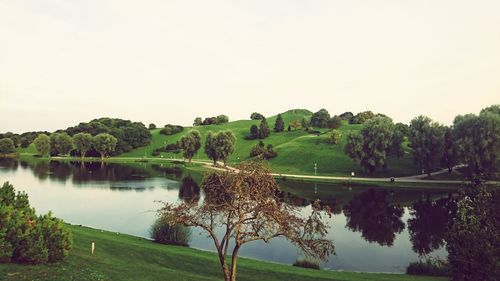 Reflection of trees in calm lake