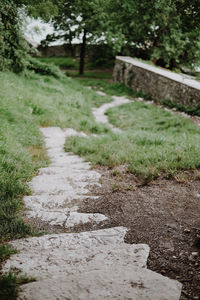 View of empty road along trees