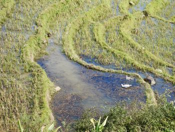 High angle view of water flowing in lake