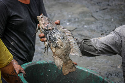 Man holding fish