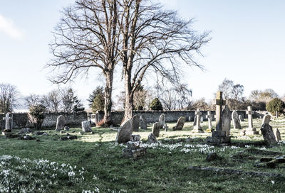 View of cemetery on field against sky