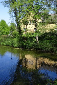 Scenic view of lake in forest