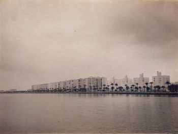 Birds by lake against sky