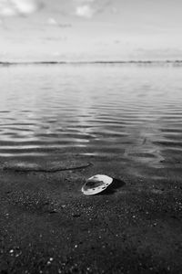 Surface level of sea shore against sky