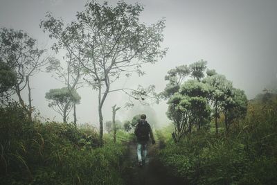 Rear view of man walking on landscape against sky