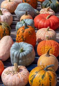 Rows of pumpkins and gourds in different shapes and colors, rest of pallets at this farm market