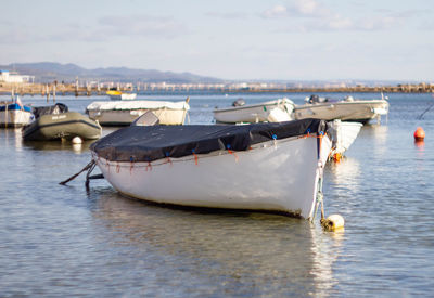 Fishing boats