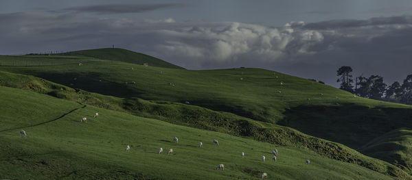 Scenic panoramic view of green rolling hills against cloudy sky