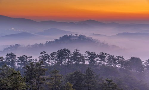 High angle view of trees against sky during sunset