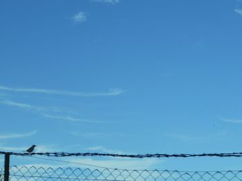 Low angle view of barbed wire against blue sky