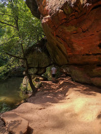 Rear view of rock formation in water