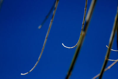 Low angle view of blue sky