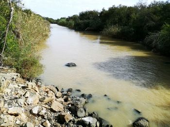 Scenic view of river against sky