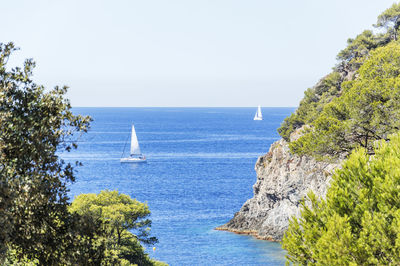 Scenic view of sea against clear sky