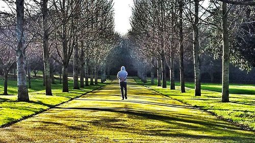 Full length of man walking on footpath in park