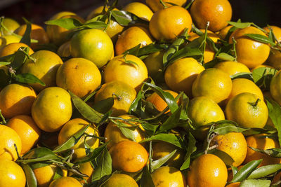 Full frame shot of oranges in market