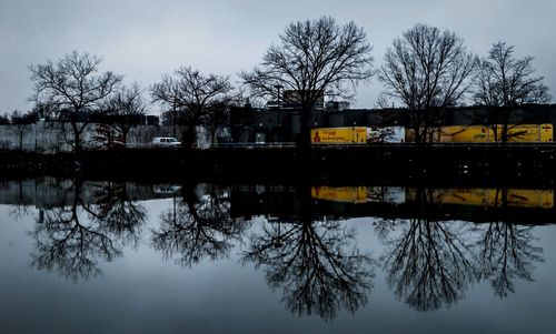 Reflection of bare trees in water