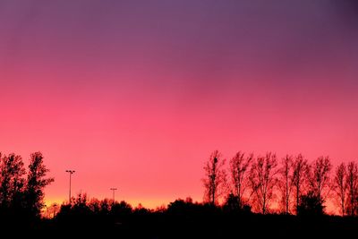 Silhouette trees against clear sky at sunset