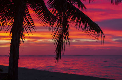 Silhouette palm tree by sea against romantic sky at sunset