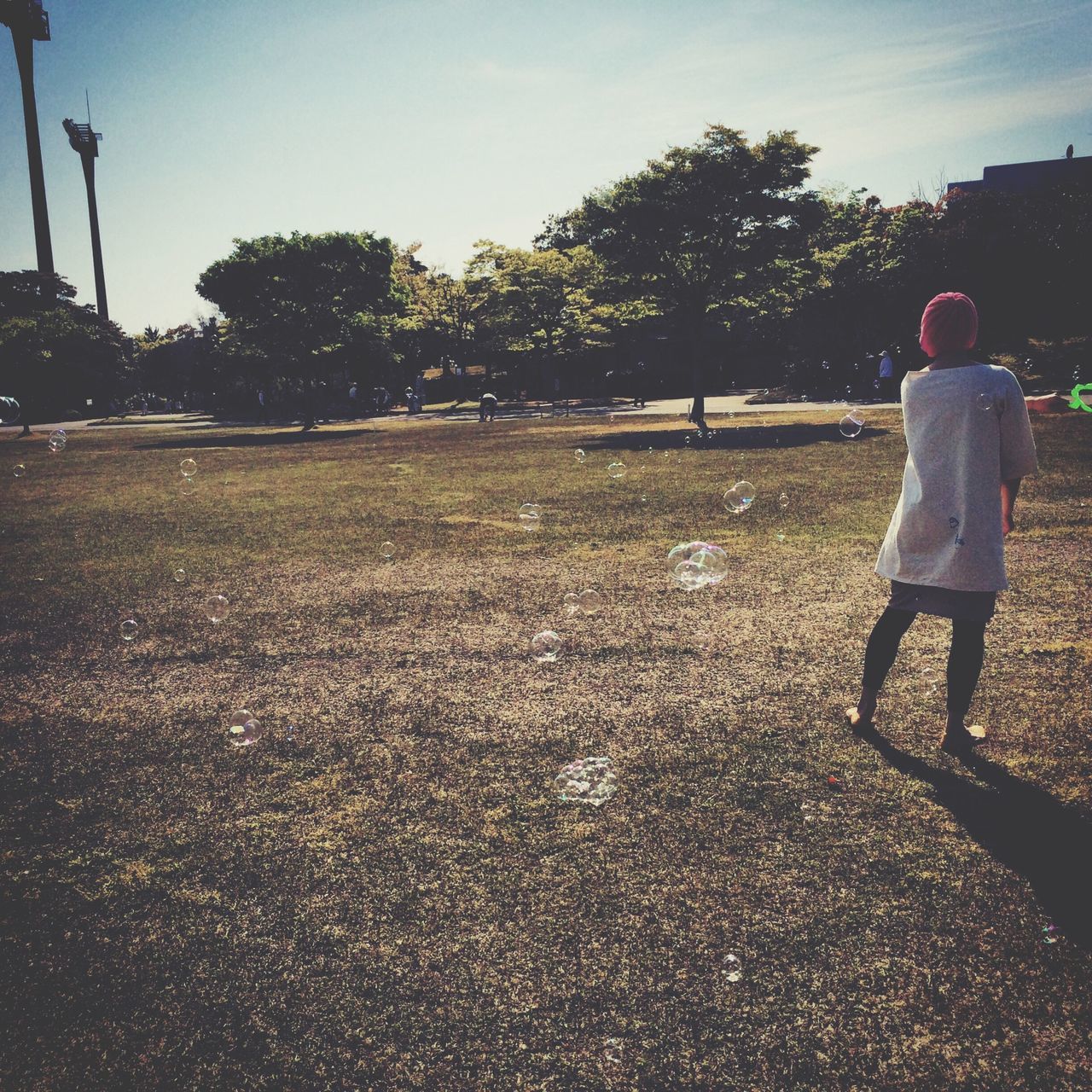 tree, lifestyles, full length, leisure activity, rear view, walking, street, men, casual clothing, standing, childhood, person, sunlight, shadow, sky, road, day, outdoors