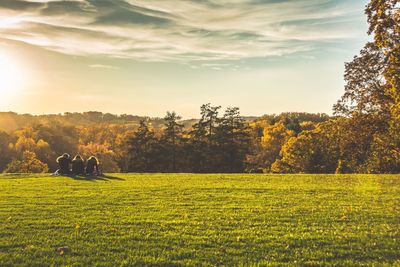 Scenic view of field against sky during sunset