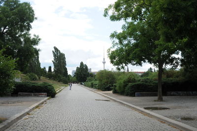 Footpath leading towards trees